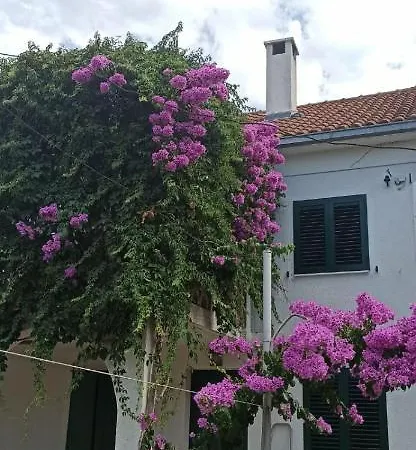 Liam Apartman Nečujam
